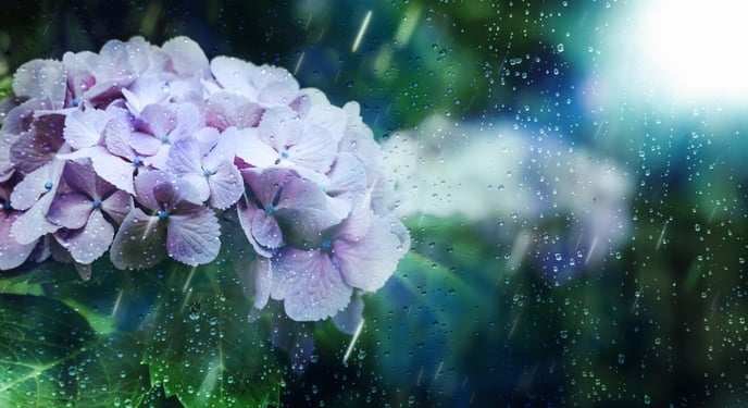 AdobeStock_599766924